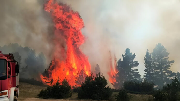 Φωτιά στο Δίστομο Βοιωτίας | ΣΚΑΪ