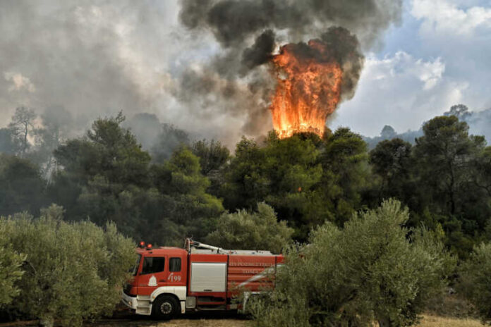 fotia.eurokinissi-768x512.jpg