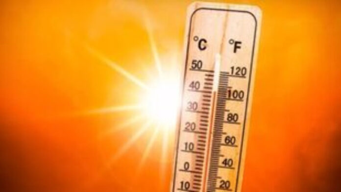 hotsun_ape.jpeg
