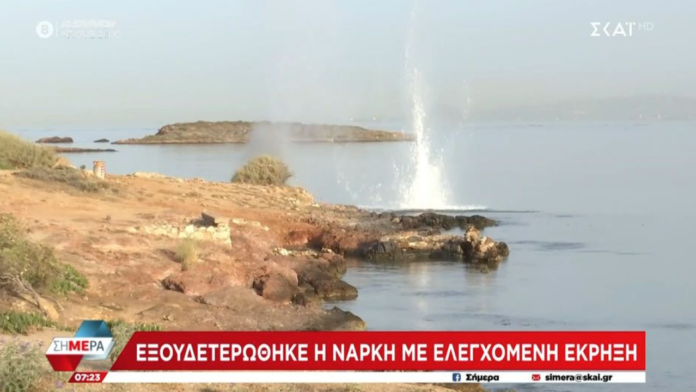 narki.png