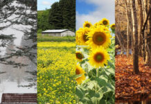 Καιρός : Η πρόγνωση του καιρού από τη Χριστίνα Σούζη