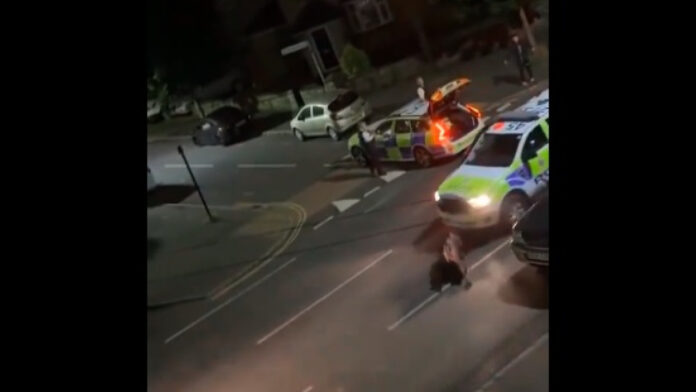 Βρετανία: Αστυνομικός έπεσε επάνω σε μια αγελάδα με το υπηρεσιακό όχημά του για να τη «συλλάβει» – Βίντεο