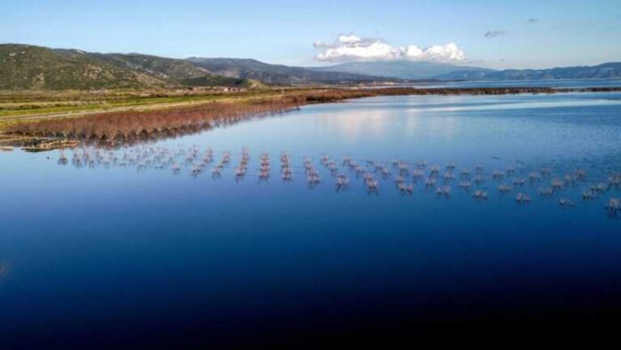 Πιστώθηκαν 43 εκατ. ευρώ σε 2.288 παραγωγούς των παρακάρλιων και άλλων περιοχών που επλήγησαν από φυσικές καταστροφές