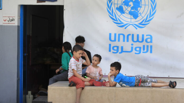 unrwa_ap24113616560618.jpg