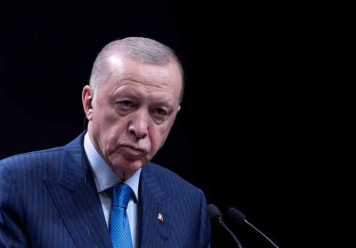 erdogan-r-768x535.jpg