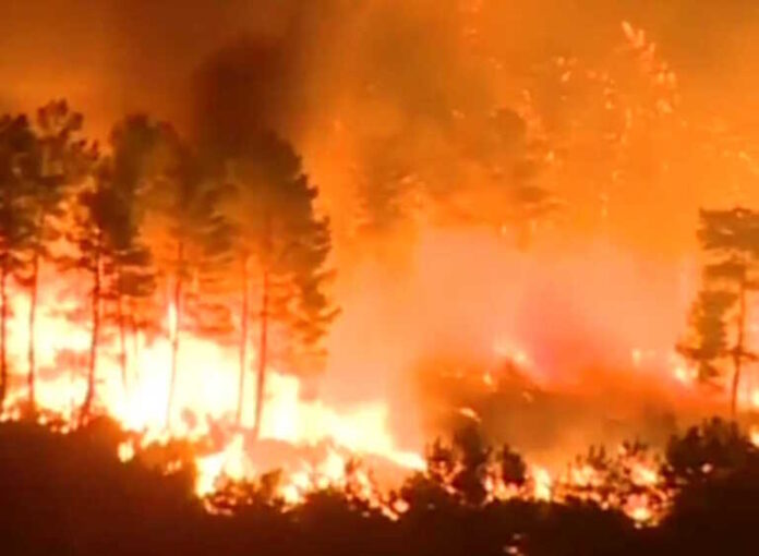 Εκτός ελέγχου οι πυρκαγιές σε 5 τουρκικές επαρχίες – Από φωτιά που άναψαν για πικ νικ κάηκε περιοχή στο Κορδελιό