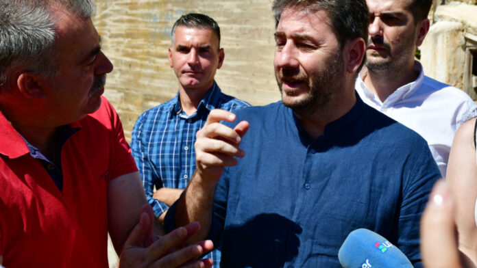 Ανδρουλάκης: Έχουμε χρέος να κάνουμε κράτος που θα προστατεύει τη φύση και τον άνθρωπο