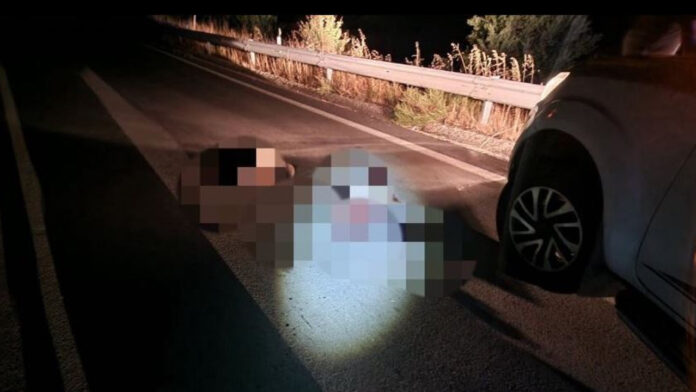 Φλώρινα: Δύο αρκουδάκια νεκρά σε τροχαίο στο δρόμο Φλώρινας – Πτολεμαΐδας