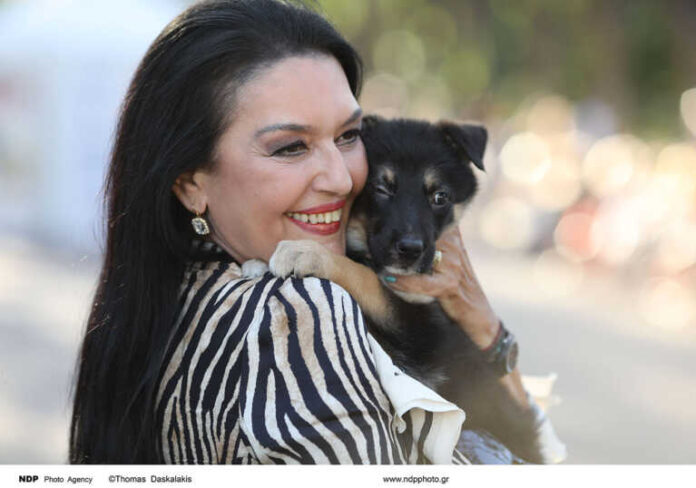 eleni-filini-ndp-1-768x538.jpg