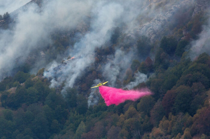 fotia-aeroplano-paggaio-kavala-1-intime.jpg