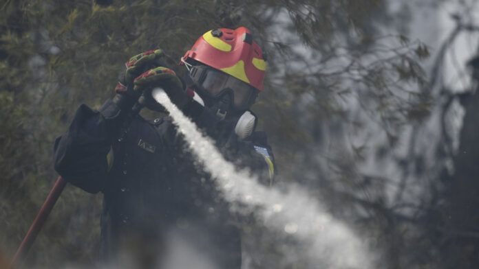 Ξάνθη: Φωτιά σε δασική έκταση στον δήμο Μύκης
