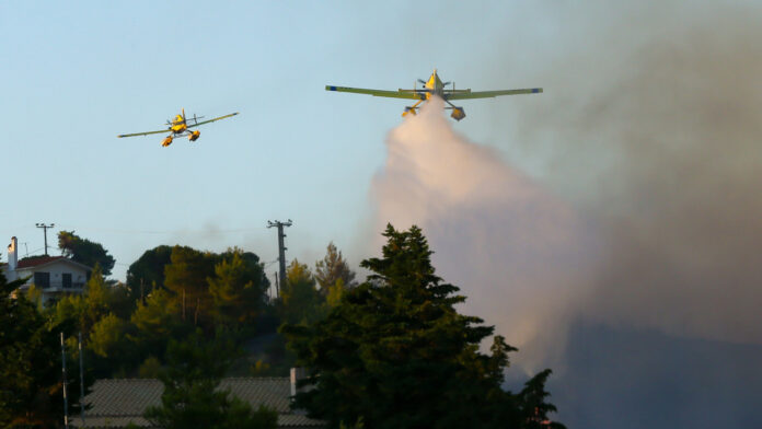 Νευροκόπι Δράμας: Φωτιά σε δασική έκταση