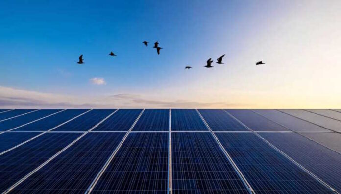 Τι σηματοδοτεί το «κανόνι» της SunPower για τη βιομηχανία των φωτοβολταϊκών