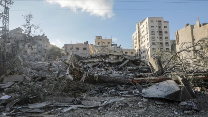 gaza004_ape_0.jpg