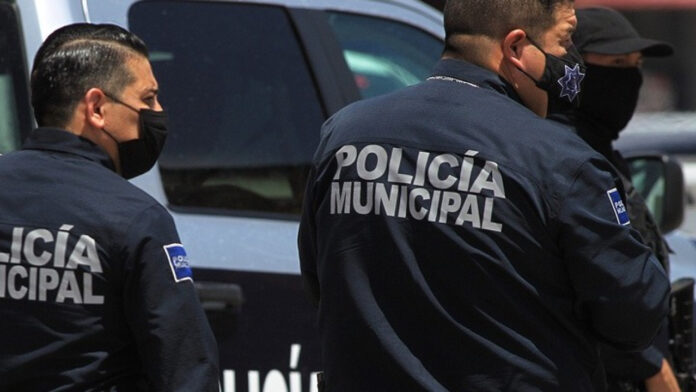 mexiko_police_ape.jpg