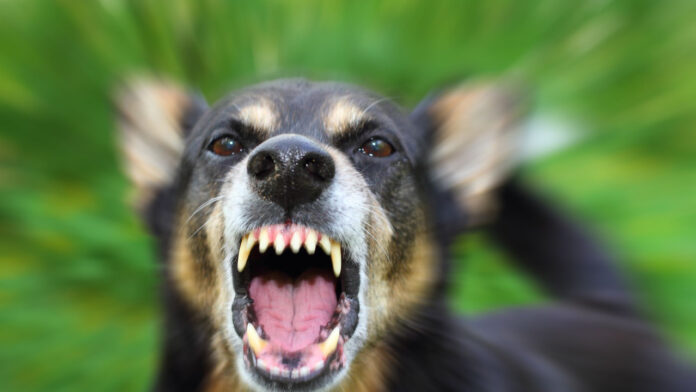 shutterstock-skylos.jpg