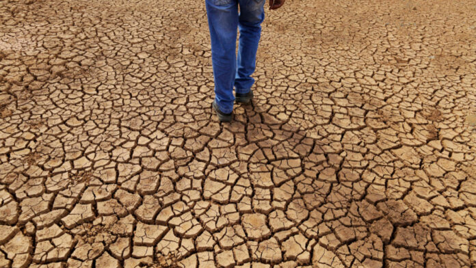 Κοπέρνικος: Ολοένα και πιο πιθανό το 2024 να γίνει η χρονιά με τις υψηλότερες θερμοκρασίες στα χρονικά