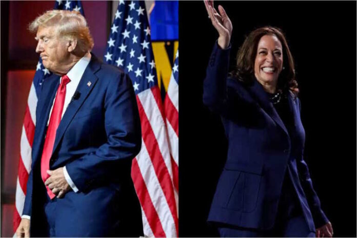 trump_harris_05082024-768x512.jpg
