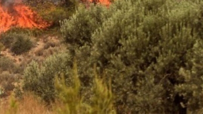 Συνελήφθησαν 2 Ιταλοί για φωτιά σε παραλία στους Αντίπαξους