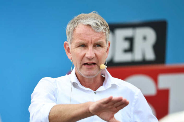 afd_reuters-1-768x512.jpg