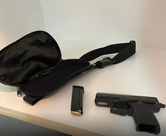 ΕΛΑΣ: Έφοδοι σε οικισμούς της Αττικής – Δείτε βίντεο από τις επιχειρήσεις