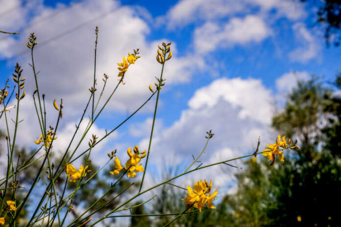 Νέα άνοδος της θερμοκρασίας σήμερα – Σε ποιες περιοχές θα βρέξει