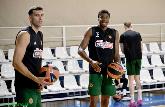 kostas-768x499.jpg