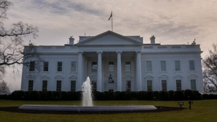 whitehouse_ape_0.jpg