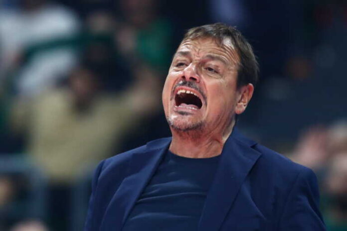 ataman-6-768x512.jpg