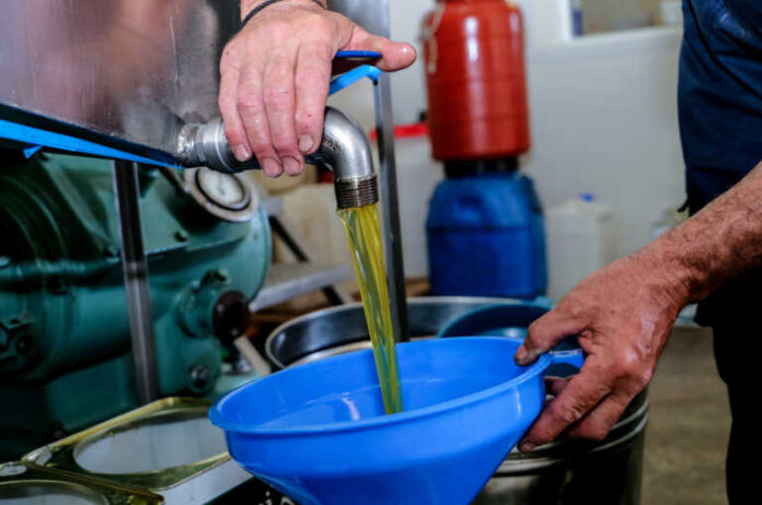 Ελαιόλαδο: Μειώθηκε κατά 40% η τιμή παραγωγού στην Ελλάδα