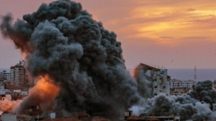 gaza_ape.jpg