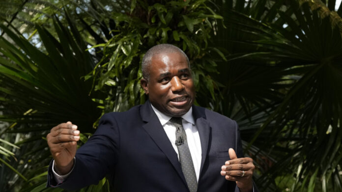 lammy_ap.jpg