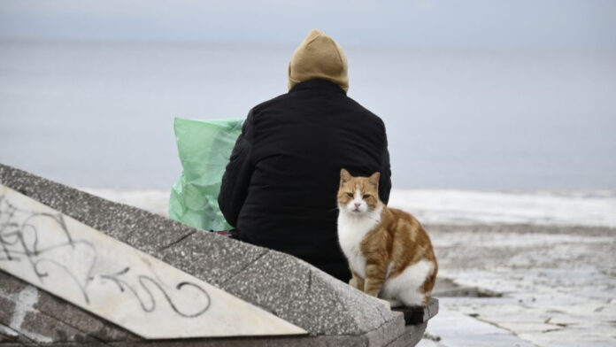Καιρός σήμερα: Μικρή άνοδος θερμοκρασίες