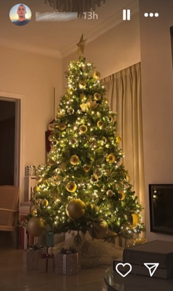 Ο Παναγιώτης Κουτσουμπής δείχνει το χριστουγεννιάτικο δέντρο που στόλισαν