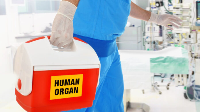 shutterstock-dorea-organon.jpg
