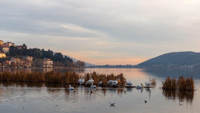 Άνοδος της θερμοκρασίας – Με τι καιρό θα κάνουμε Πρωτοχρονιά