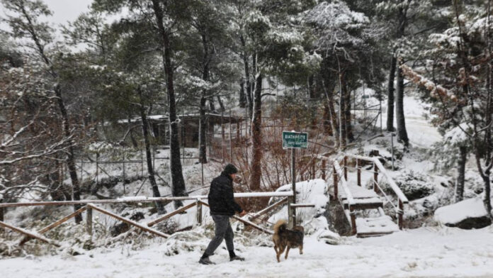 Καιρός σήμερα: Χριστούγεννα με χιόνια και σε χαμηλά υψόμετρα