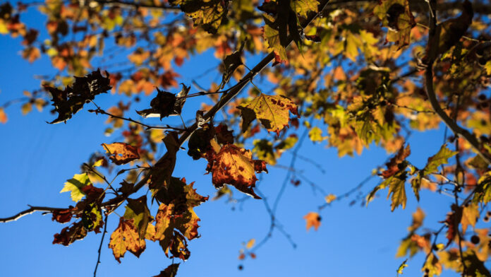 Βελτιωμένος ο καιρός σήμερα στις περισσότερες περιοχές – Πού θα βρέξει