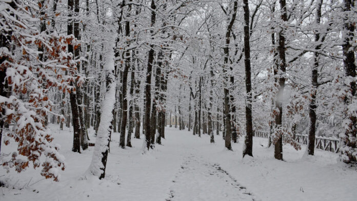 Καιρός: Πρόγνωση για Τρίτη – Πού θα εκδηλωθούν καταιγίδες, πού θα χιονίσει