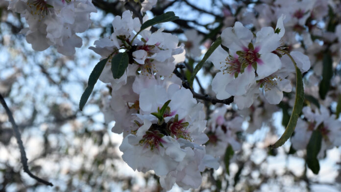 Καιρός: Διατηρούνται οι χαμηλές θερμοκρασίες