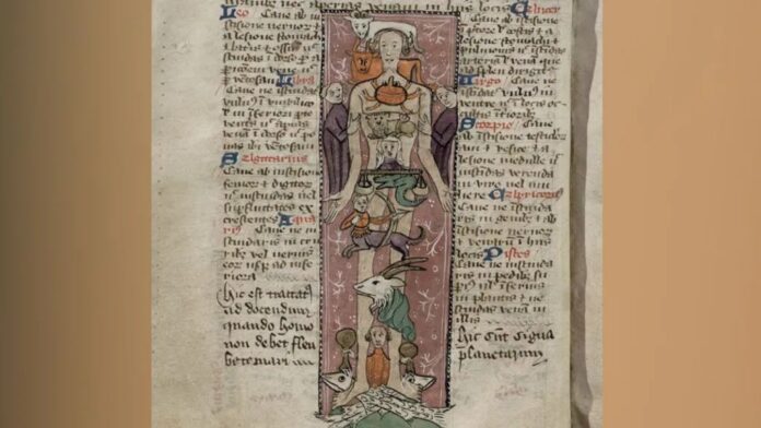 Όρχεις νυφίτσας και Πάτερ Ημών: Αλλόκοτες θεραπείες από την εποχή του Μεσαίωνα