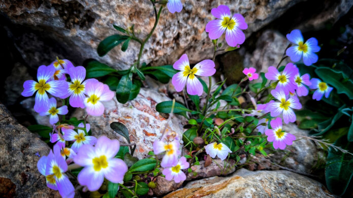 Καιρός σήμερα: Άνοδος της θερμοκρασίας