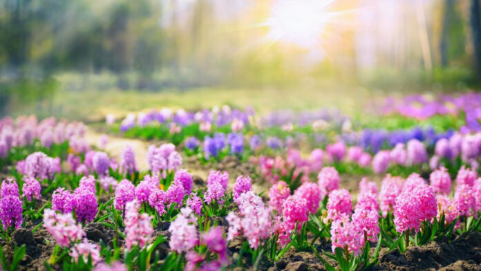 shutterstock_spring.jpg