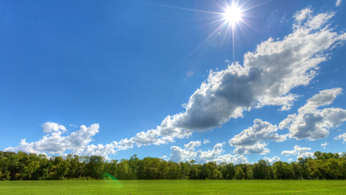 sunny-day.jpg