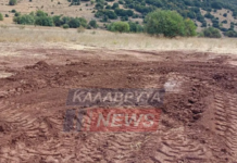 Υπόθεση αρχαιοκαπηλίας στα Καλάβρυτα: Σε αναζήτηση του αγάλματος της Θεάς Αρτέμιδος