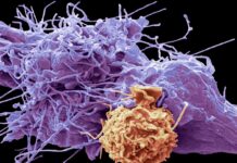 ΠΟΥ: Πάνω από 500 τα βασικά φάρμακα – Προστέθηκαν τα νέα φάρμακα για διαβήτη και καρκίνο