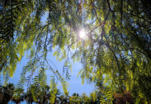 Νεφώσεις με λίγες βροχές και μικρή άνοδος της θερμοκρασίας