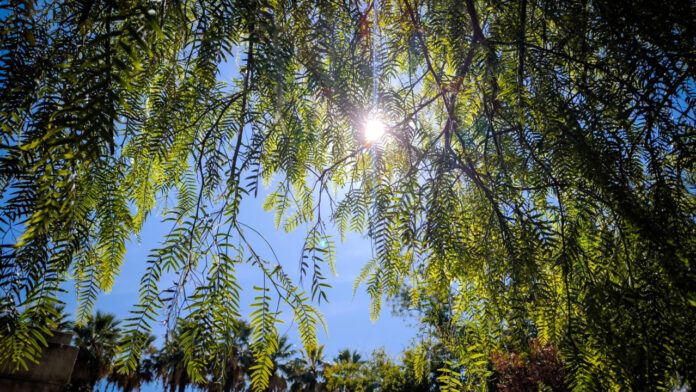 Νεφώσεις με λίγες βροχές και μικρή άνοδος της θερμοκρασίας